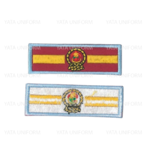 Teen Scout Rank Badge