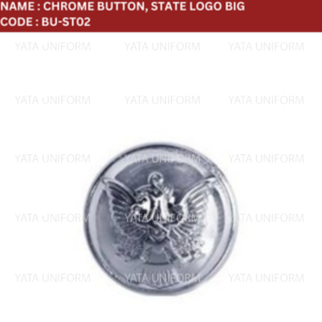CHROME BUTTON, STATE LOGO - Image 2