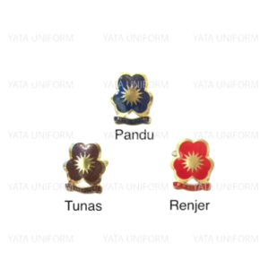 Tenderfoot Pandu Puteri